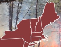 Download NE Compact Resource Availability 11-4.pdf (application/pdf, 22.45 KB) Resource Availability 11/04/2025