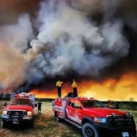 Download RST320 - Resources Currently On Assignment by NECC Provider Unit 11-4.xls (application/vnd.ms-excel, 27 KB) Resources On Assignment 11/04/2025