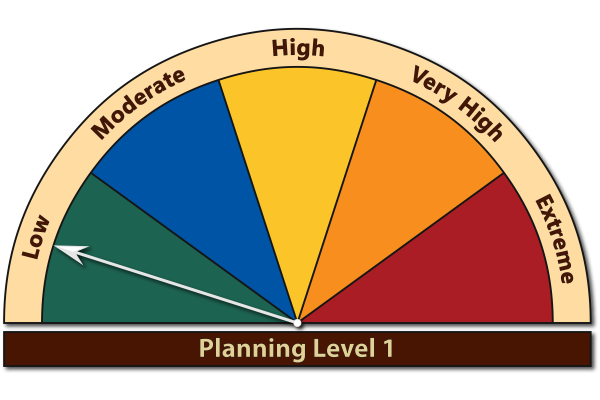 Planning Level 1 - Low Planning Level 1